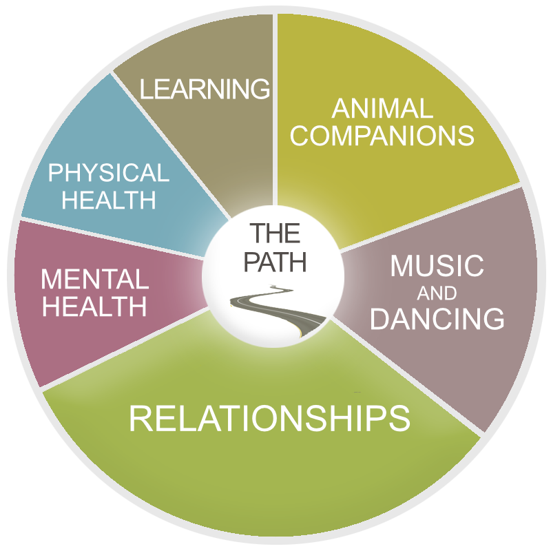 Pie chart diagram MSTRS